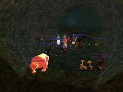 Fungus Grove Ring Quest
